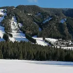 Gemuetliches Mit Holzofen Und Sauna Hohentauern