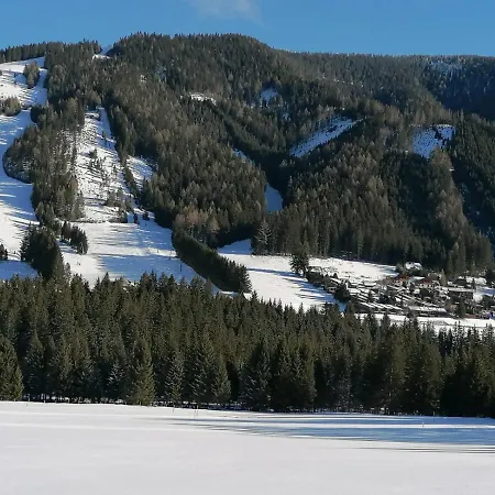 Gemuetliches Mit Holzofen Und Sauna Hohentauern