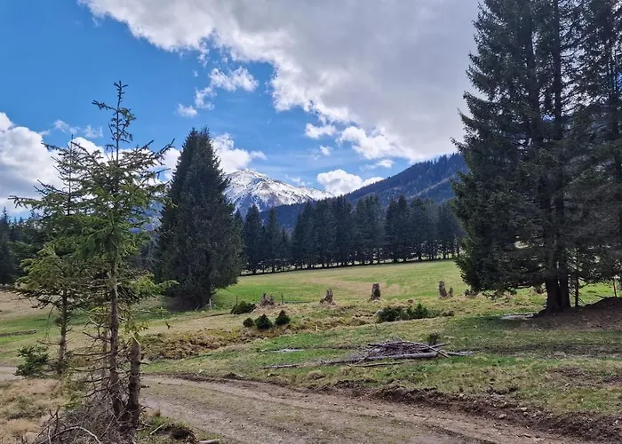 Gemuetliches Mit Holzofen Und Sauna *